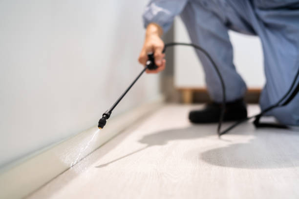 Licensed Wasp Removal service in Sellersburg, IN - Show Me Pest Control