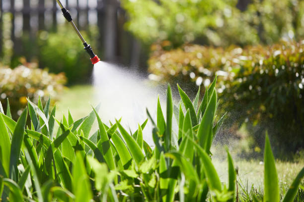 24/7 Emergency Wasp Removal experts in Sellersburg, IN