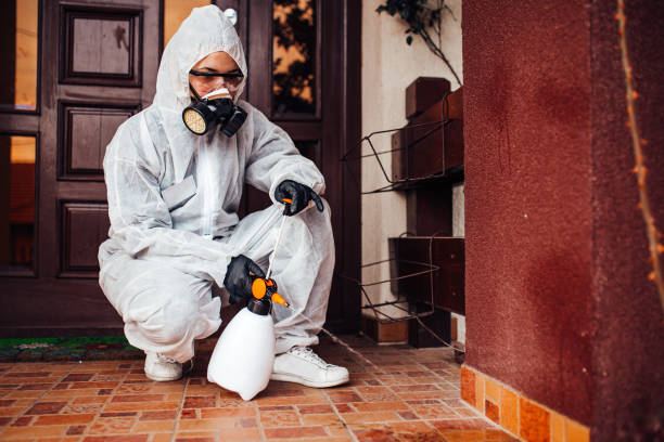 Reliable Wasp Removal contractor in Sellersburg, IN by Show Me Pest Control